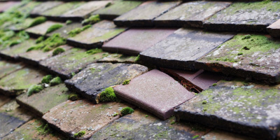 Dunmow roof repair costs